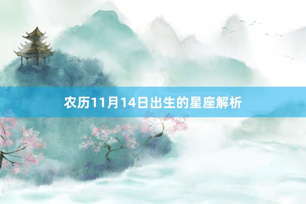 农历11月14日出生的星座解析